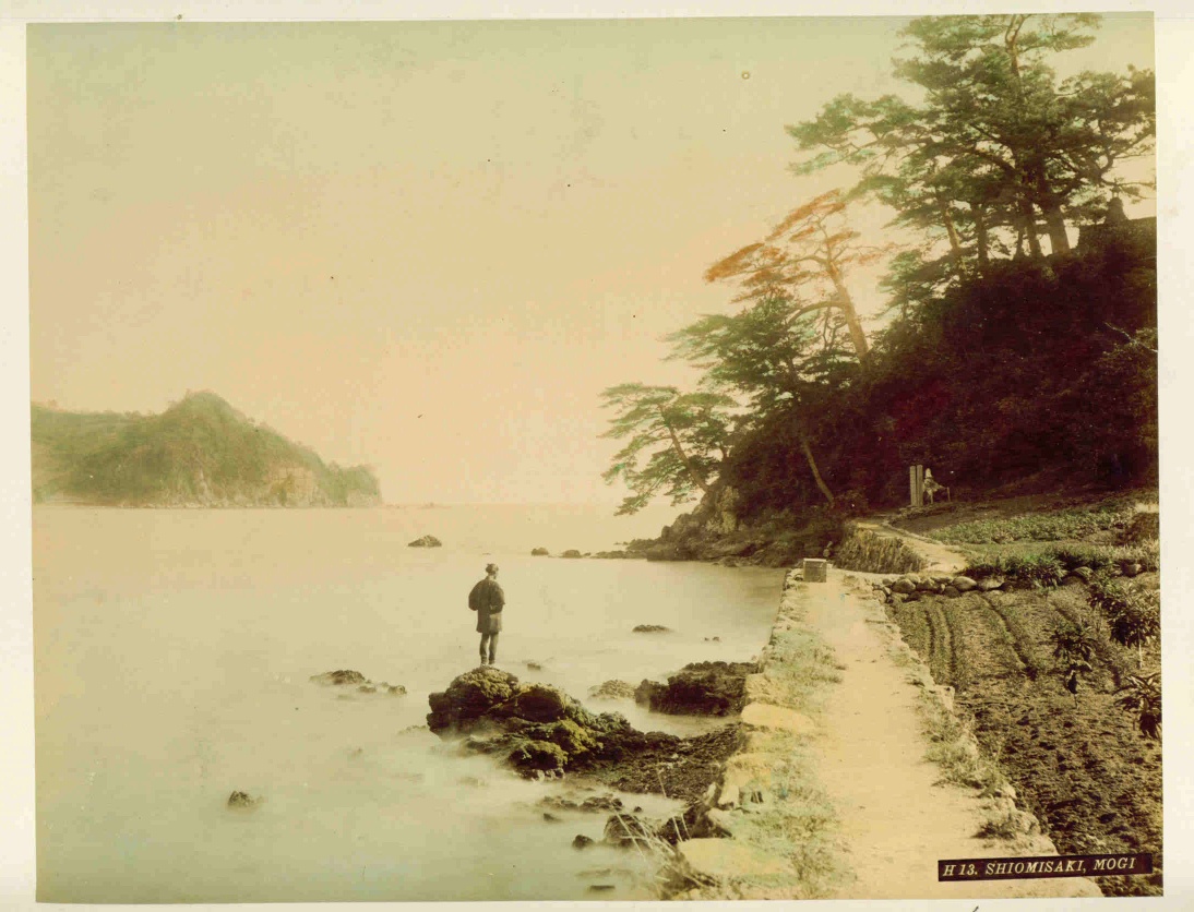 Shiomisaki Mogi Albumen